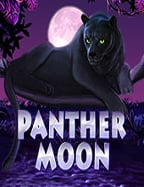 ทดลองเล่น free slot cleopatra สนุกได้ไม่ต้องกังวล